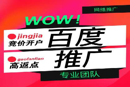 百度推广月费最低预算案例